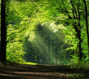 formation se ressourcer tymanagers